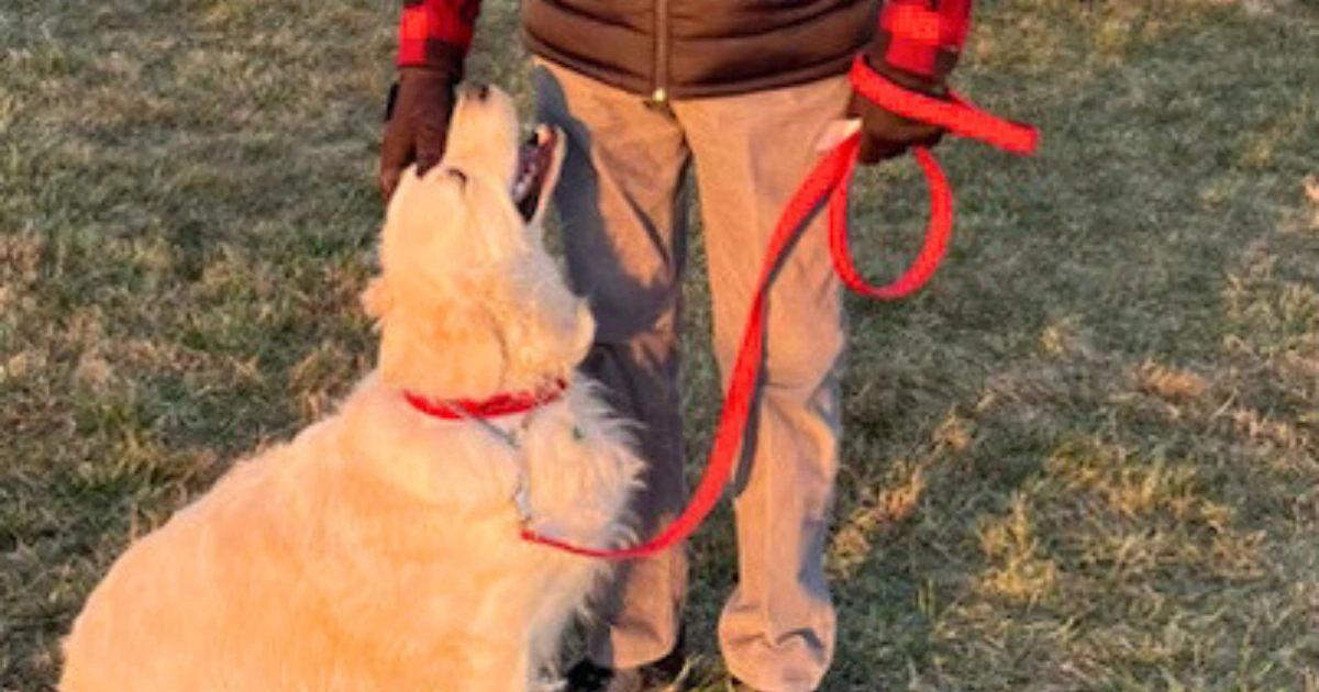 Author with his dog Luna holding a “Survivor” lantern at LLS Light the Night—recovering after surgery, grateful for support, uneasy with the survivor label.